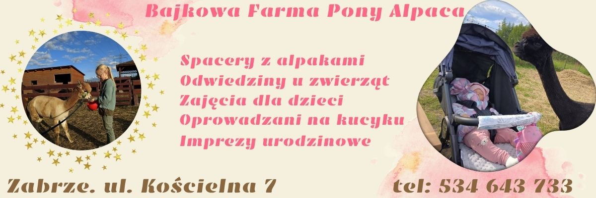 Ponyalpaca Zabrze