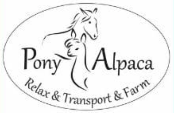 PonyAlpaca